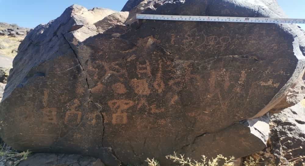 الشرعي موكل 1